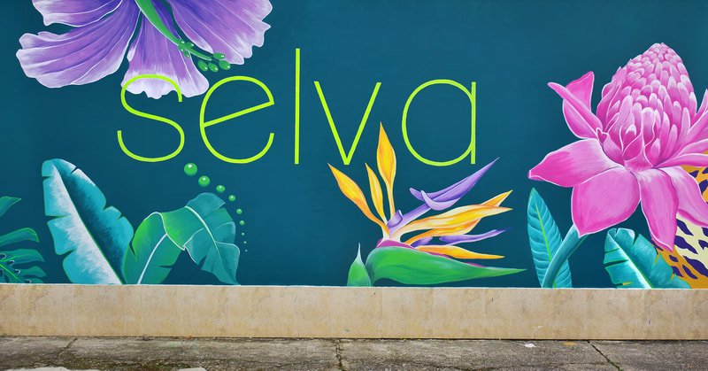 13 Selva Paz y Diversidad Imagen 13